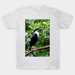 Pied Heron T-Shirt